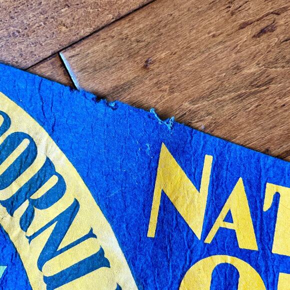 Vtg National Orange Show San Bernardino California Felt Pennant MCM Souvenir 28" - Picture 5 of 6